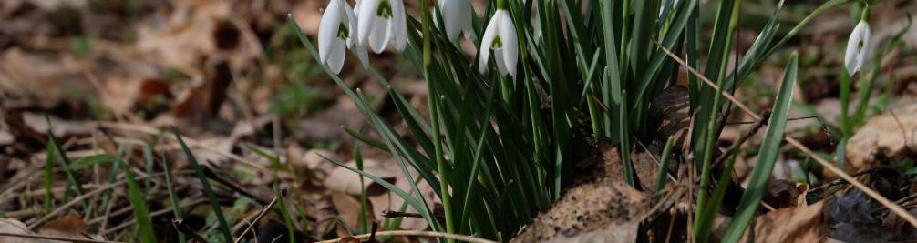 Kickoff for the 2nd project phase