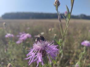 Photo credit: Mina Anders